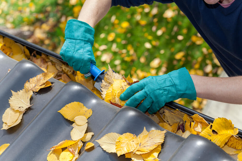 Person Cleaning leaves out of gutter
