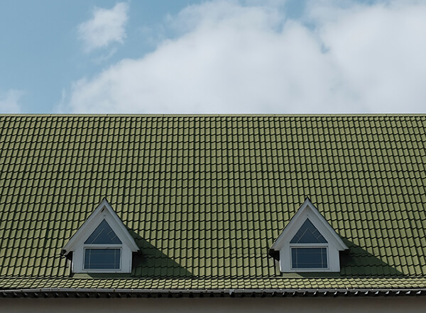 Green Roof House