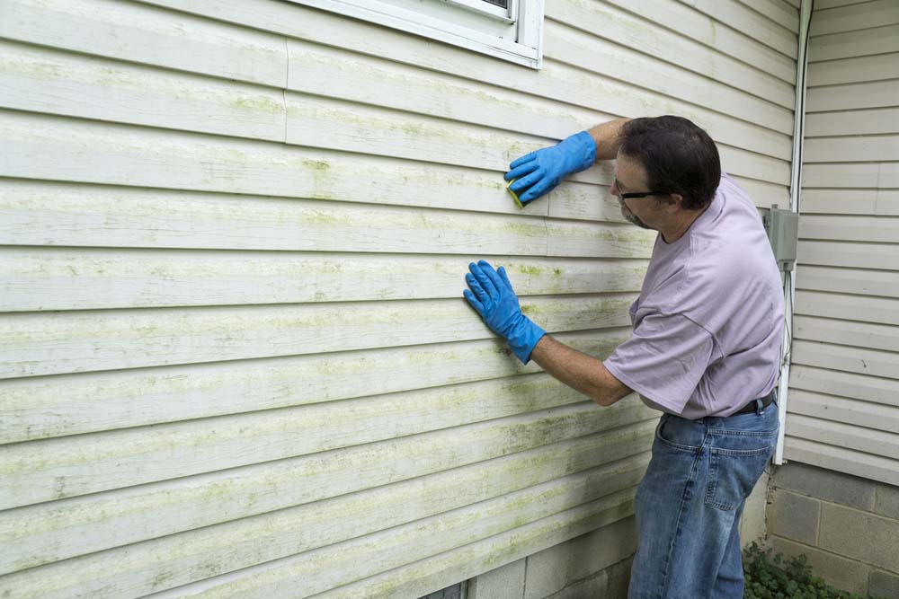 a man cleaning mildew and mold off of the siding on a house