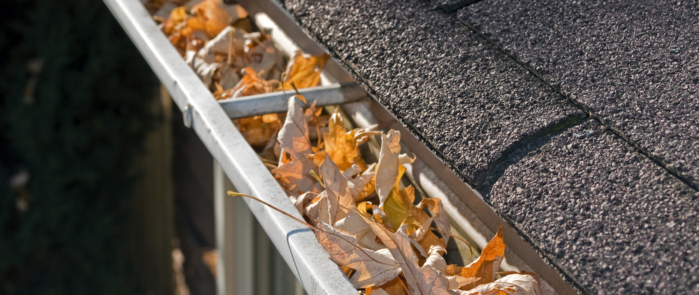 Leaves in gutters with no guard